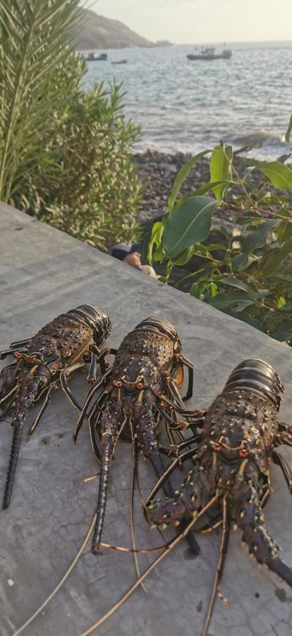 Casa Praia Tarrafal De Monte Trigo Seladinha エクステリア 写真